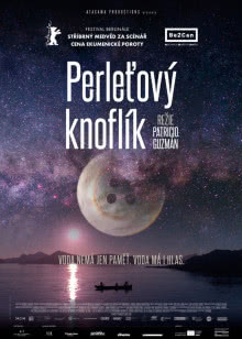 妈妈出差的夏天