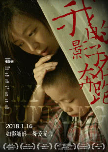 小伴龙绘本故事