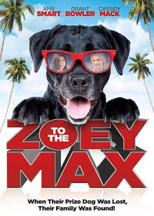 汪洋里的一条船