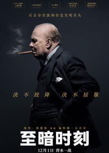 美丽俏佳人[2017]