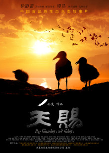 救起池中的猎豹